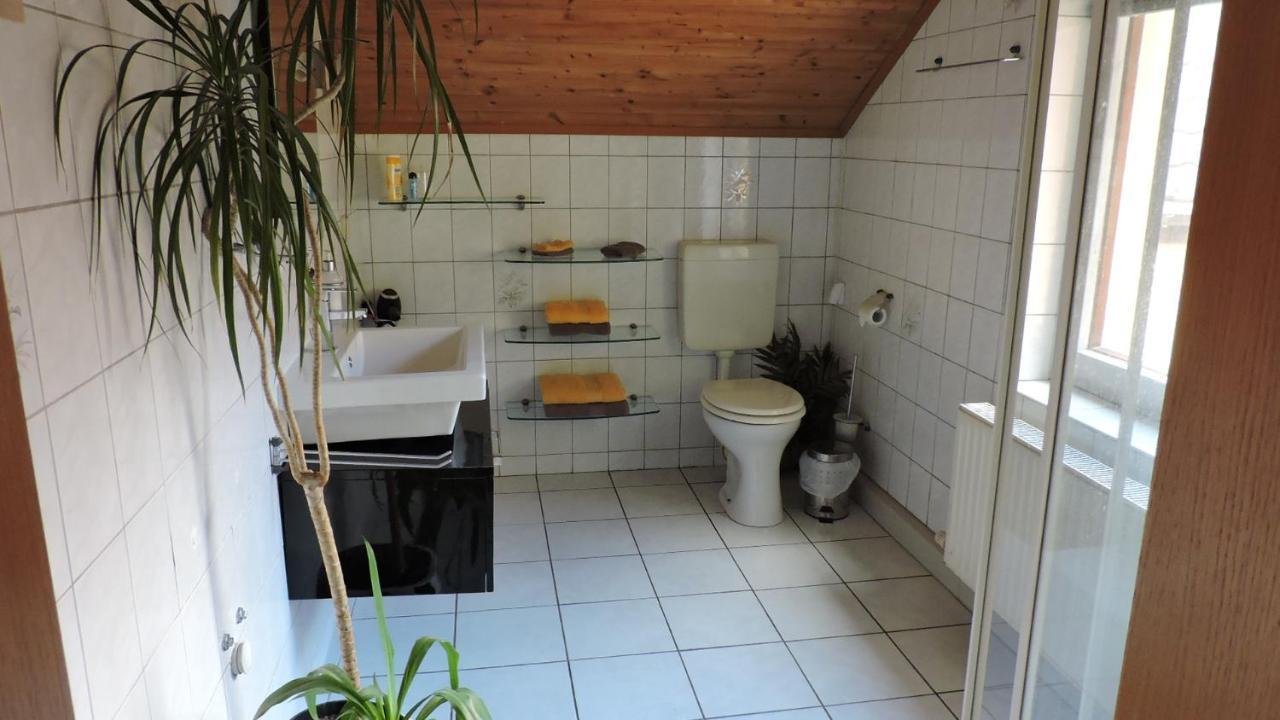 Elbhangzimmer Dresda Esterno foto