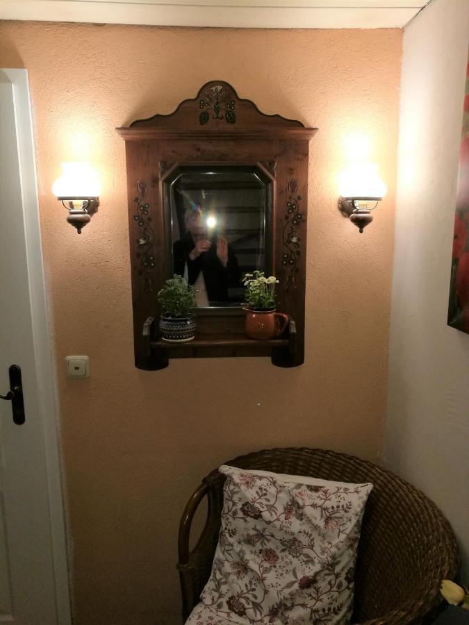 Elbhangzimmer Dresda Esterno foto