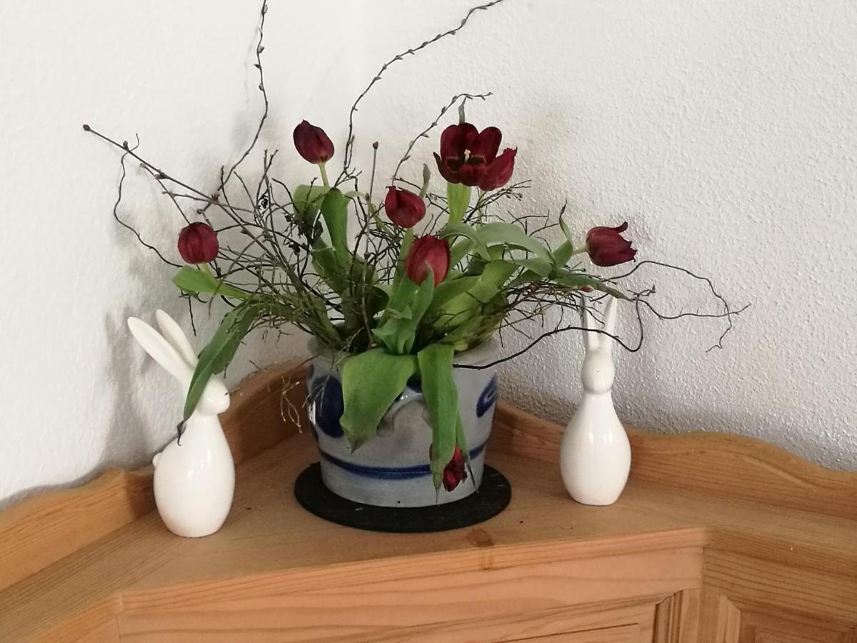 Elbhangzimmer Dresda Esterno foto